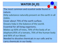 WATER (H 2 O)