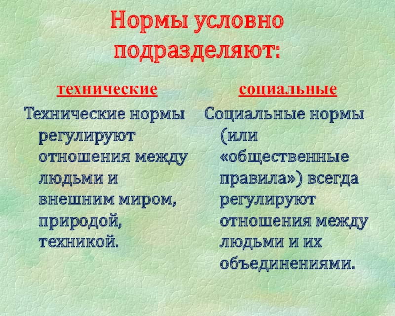 Условная норма