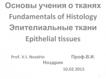 Основы учения о тканях
Fundamentals of Histology
Эпителиальные ткани
Epithelial