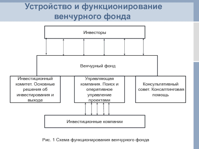 Создание венчурных предприятий обеспечивающих реализацию высокорисковых проектов называется