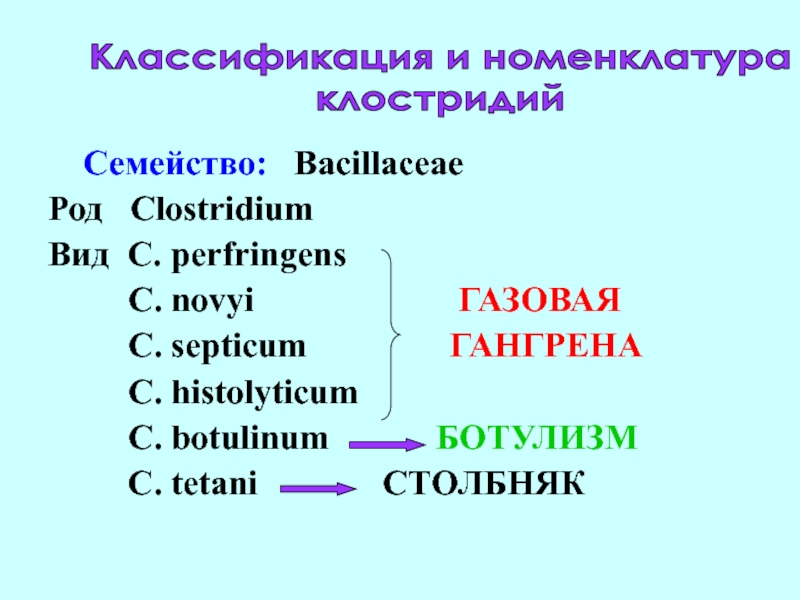 1.Номенклатура:
Francisella tularensis
2.Маленькие, кокковидные палочки, иногда Семейство: BacillaceaeРод ClostridiumВид C. perfringens C. novyi Семейство: BacillaceaeРод ClostridiumВид C. perfringens C. novyi