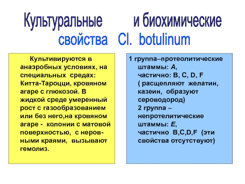 1.Номенклатура:
Francisella tularensis
2.Маленькие, кокковидные палочки, иногда Культивируются в анаэробных условиях, на специальных средах: Китта-Тароцци, Культивируются в анаэробных условиях, на специальных средах: Китта-Тароцци, кровяном агаре с глюкозой.