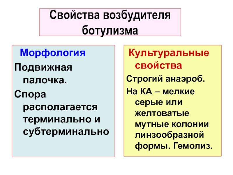 1.Номенклатура:
Francisella tularensis
2.Маленькие, кокковидные палочки, иногда Свойства возбудителя ботулизма МорфологияПодвижная палочка.Спора располагается терминально и субтерминально Культуральные свойстваСтрогий Свойства возбудителя ботулизма МорфологияПодвижная палочка.Спора располагается терминально и субтерминально Культуральные свойстваСтрогий анаэроб.На КА – мелкие серые или