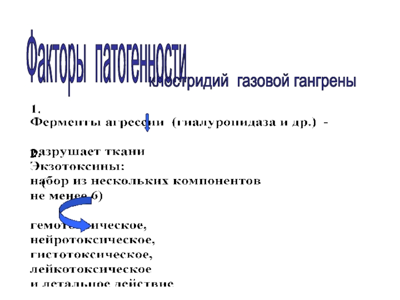 1.Номенклатура:
Francisella tularensis
2.Маленькие, кокковидные палочки, иногда Факторы патогенностиклостридий газовой гангрены Факторы патогенностиклостридий газовой гангрены