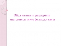 Әйел жыныс мүшелерінің анатомиясы және физиологиясы