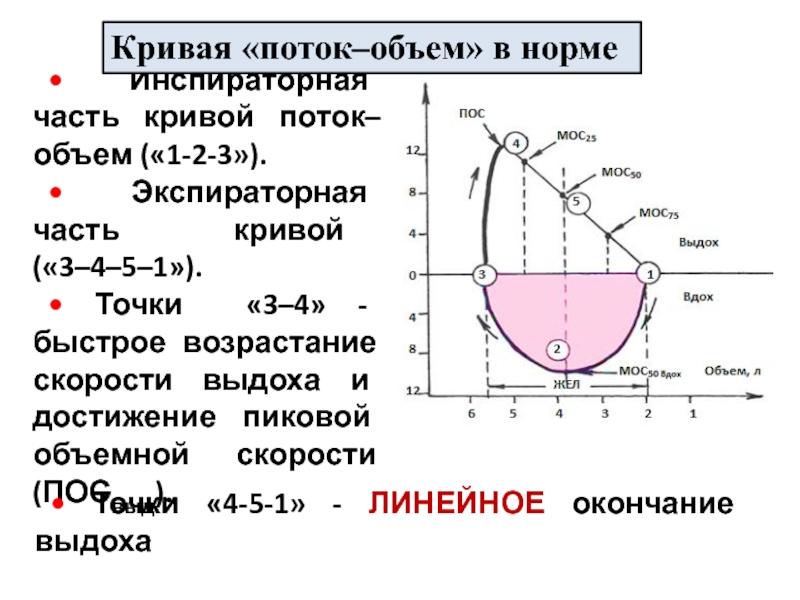 Части кривой