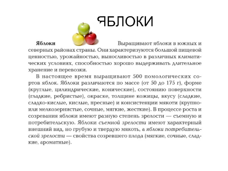 Сроки созревания яблони. Созревание яблока. Процесс созревания яблони. Зрелость яблока. Стадии зрелости яблока.