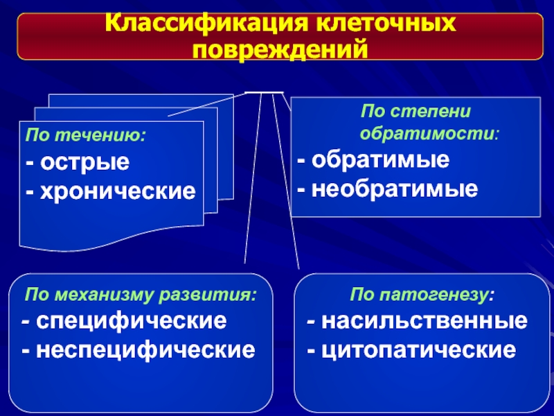 Классификация клеток. Обратимые и необратимые повреждения клетки. Обратимые повреждения клеток механизмы. Специфические механизмы повреждения клетки. Неспецифические механизмы повреждения клетки.