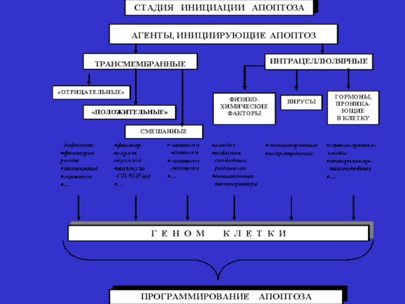 Повреждение клетки патофизиология презентация