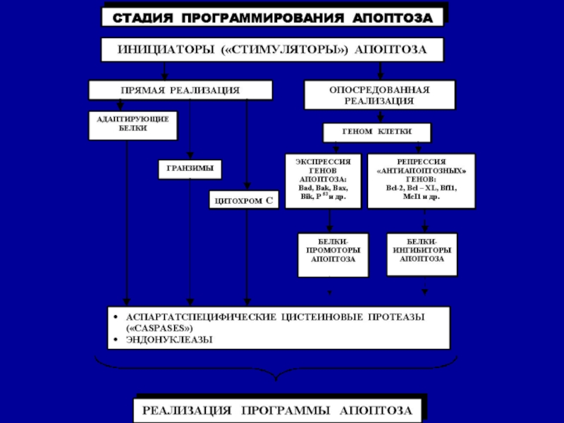 Повреждение клетки патофизиология презентация