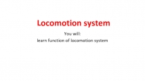 Locomotion system
