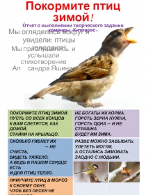 Покормите птиц зимой! Отчет о выполнении творческого задания команды  Китоврас