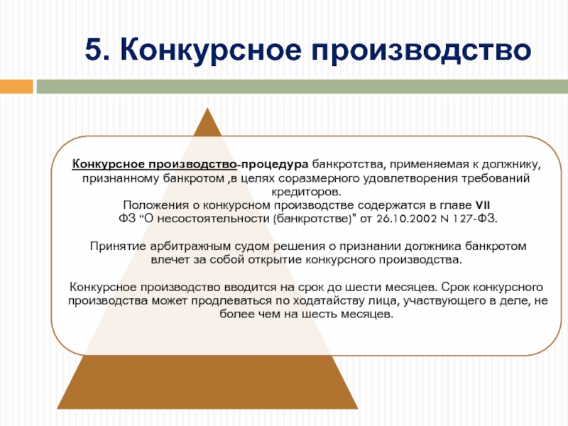 Реферат: Конкурсное производство 3