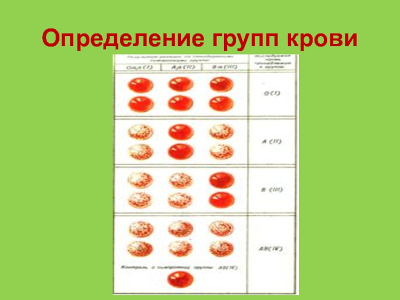 Алгоритм группы крови и резус фактора
