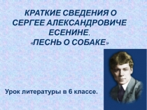 КРАТКИЕ СВЕДЕНИЯ О СЕРГЕЕ АЛЕКСАНДРОВИЧЕ ЕСЕНИНЕ. ПЕСНЬ О СОБАКЕ