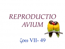 REPRODUCTIO AVIUM