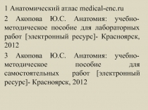 1 Анатомический атлас medical-enc.ru
2 Акопова Ю.С. Анатомия: