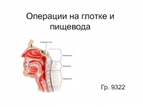 Операции на глотке и пищевода