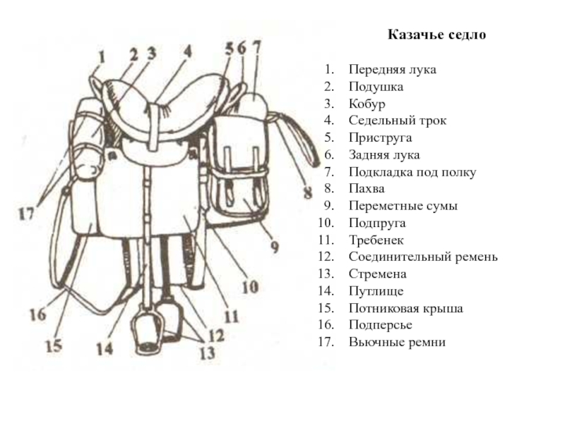 Из чего состоит седло для лошади схема