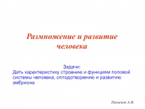 Пименов А.В.
Размножение и развитие человека
Задачи:
Дать характеристику