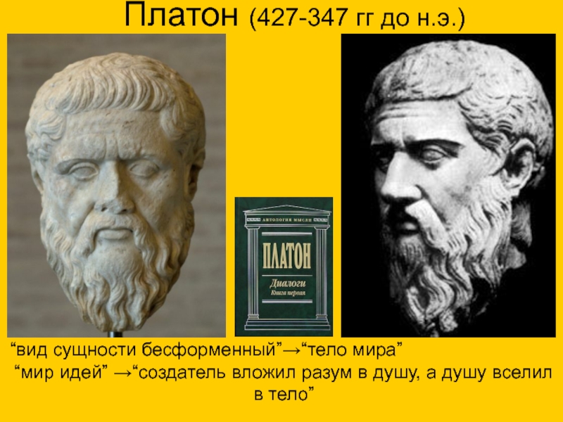 Платон 427. Платон 427- 347 до н.э. Платоном (427-347 годы до н.э.).. Периоды в биологии античность. Платон 427 347 г.г до н.э кратко.