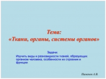 Тема: Ткани, органы, системы органов