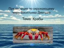 Презентация по окружающему миру Васильева Дмитрия