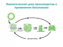 Экологический цикл производства и применения биоэтанола