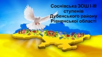 Соснівська ЗОШ І-ІІІ ступенів Дубенського району Рівненської області