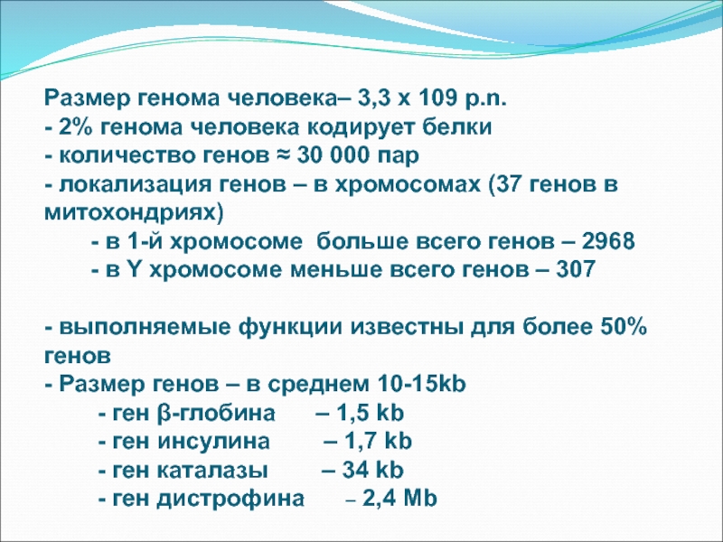 Длина гена. Размер генома e coli. Размер генома человека. Физический размер генома человека. Размеры геномов разных организмов.