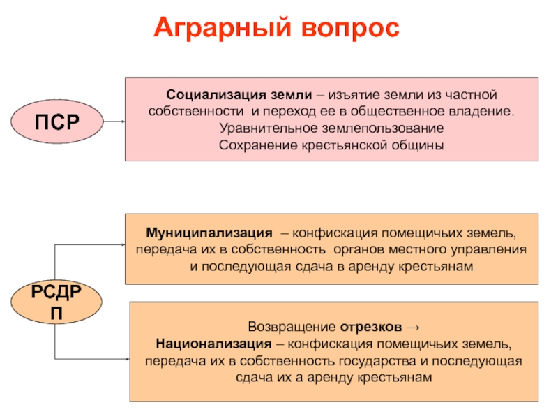 Автором проекта социализации земли был