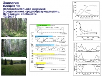 Экология
Лекция 10.
Восстановительная динамика (продолжение), средообразующая