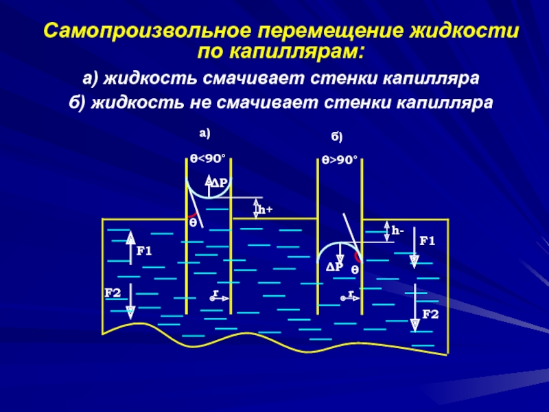 Перемещение жидкости. Поверхностные эффекты в жидкости. Явления на поверхности жидкости. Наблюдения движения в жидкостях. Жидкость смачивает стенки капилляра.