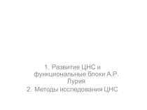 Развитие ЦНС и функциональные блоки А.Р.Лурия
Методы исследования ЦНС