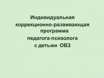 Индивидуальная
коррекционно-развивающая программа
педагога-психолога
с детьми