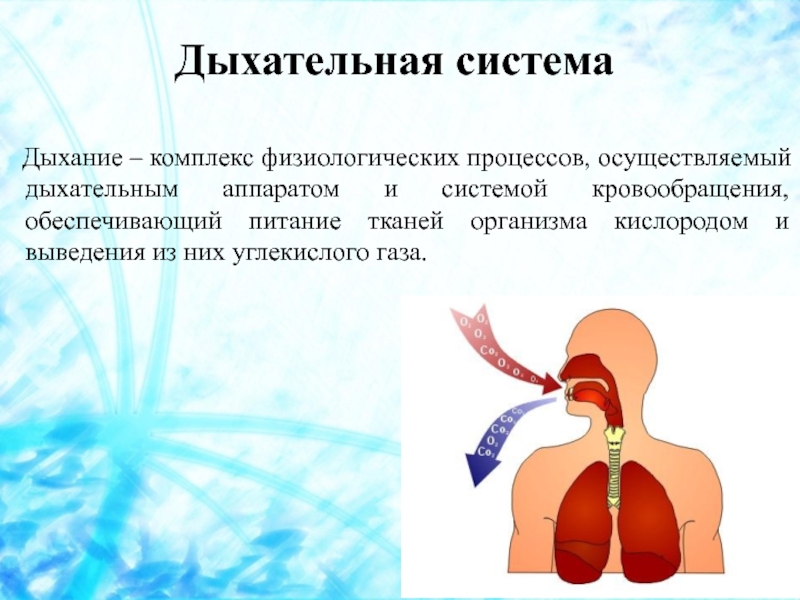 Место проведения дыхания