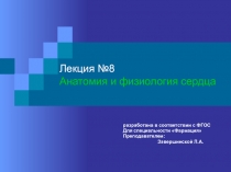 Лекция №8 Анатомия и физиология сердца