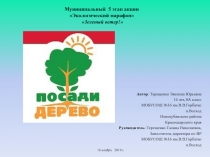 Автор : Терещенко Эвелина Юрьевна
14 лет, 8А класс
МОБУСОШ №16