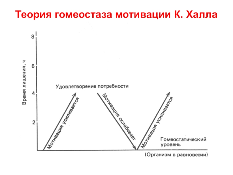 Теория 30