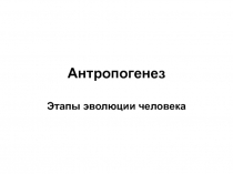 Антропогенез