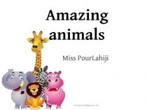 Amazing animals