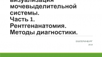 Медицинская визуализация мочевыделительной системы. Часть 1. Рентгенанатомия