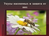 Укусы насекомых и защита от них