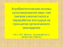 Агробиологические основы культивирования иван-чая ( кипрея узколистного) и