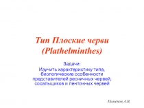 Тип Плоские черви (Plathelminthes)