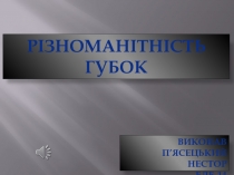 Різноманітність губок
Виконав
П ’ ясецький Нестор БЛБ-14