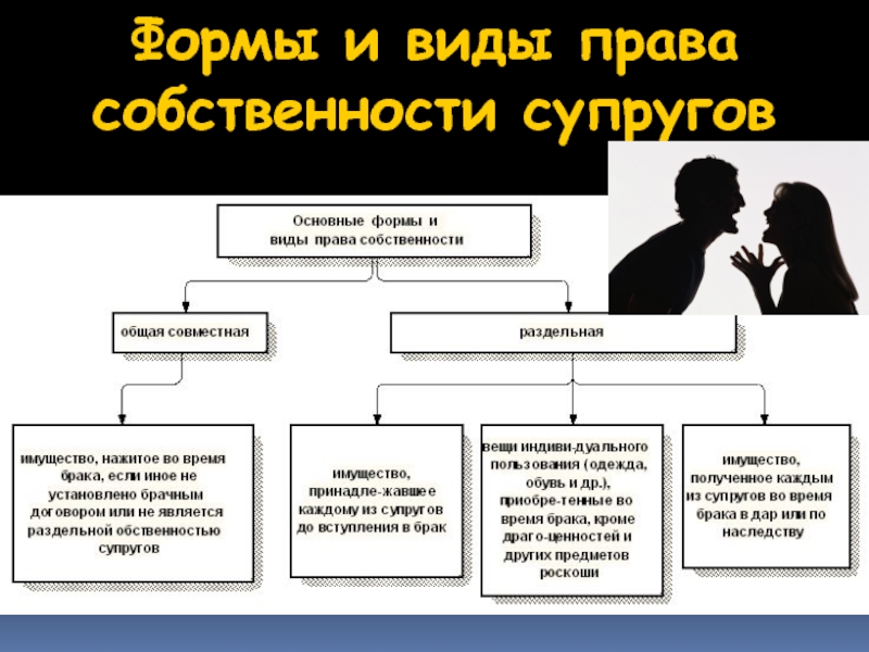 Право собственности супругов. Виды имущества супругов. Виды собственности супругов. Объект совместного имущества супругов. Права на общую собственность супругов.