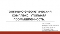 Топливно-энергетический комплекс. Угольная промышленность