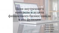 Цели внутреннего контроля и аудита финансового бизнес-цикла и его функции