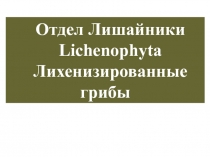 Отдел Лишайники
Lichenophyta
Лихенизированные грибы